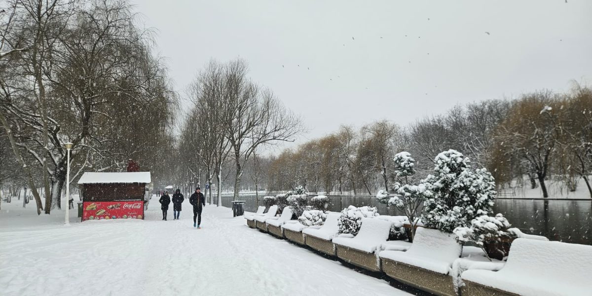 bucuresti-zapada-parc.jpeg - PresaObiectiva