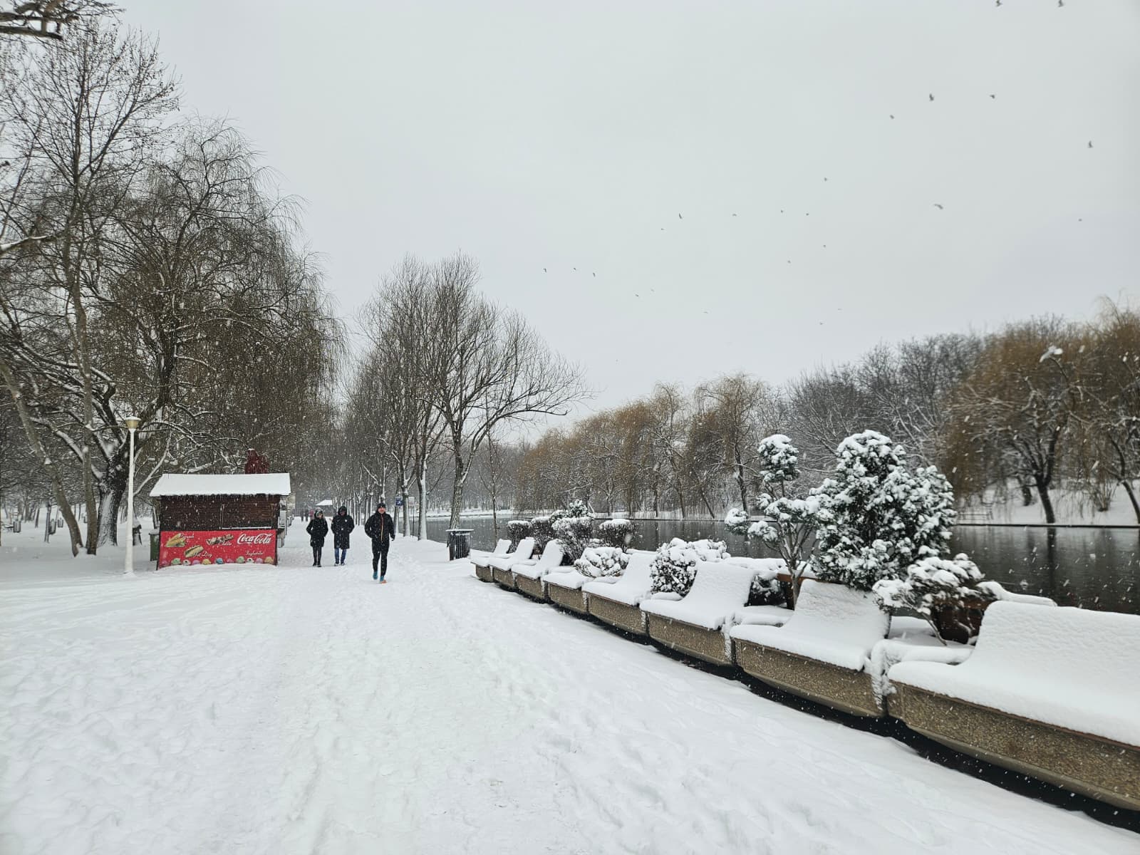 Ninsori abundente în București, stratul de zăpadă ajunge la 15 cm Bucureștiul a fost acoperit duminică, 11 ianuarie 2025, de un strat generos de zăpadă, cu grosimi cuprinse între 10 și 15 cm, conform prognozelor emise de Administrația Națională de Meteorologie (ANM)