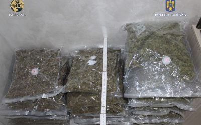 canabis.jpeg - PresaObiectiva