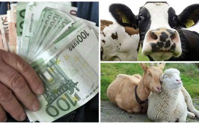 colaj-plata-animale_o.jpg - PresaObiectiva