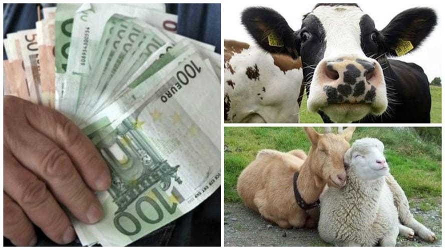 colaj-plata-animale_o.jpg - PresaObiectiva