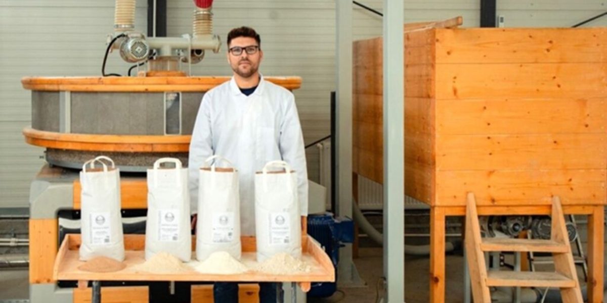 cooperativa-faina.jpg - PresaObiectiva