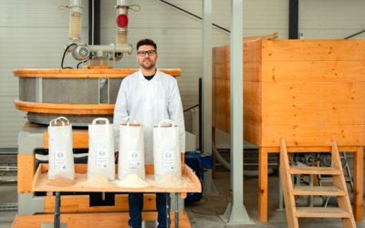 cooperativa-faina.jpg - PresaObiectiva