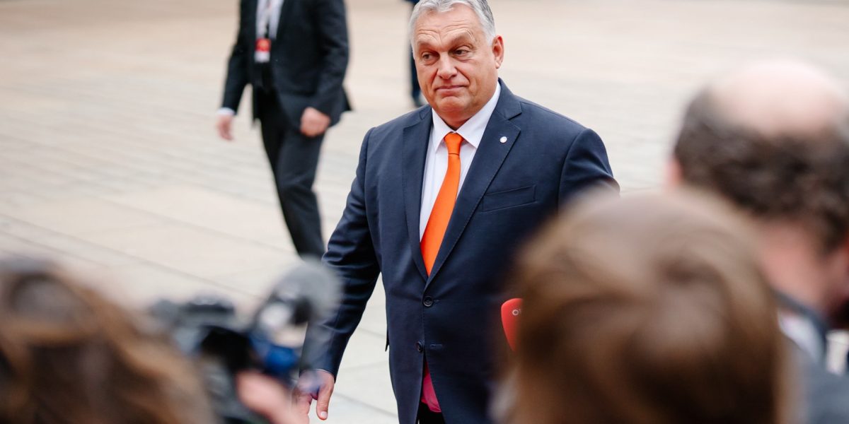 d506f2c6-e5a0-47cb-87c3-153d4628b931.jpg - PresaObiectiva