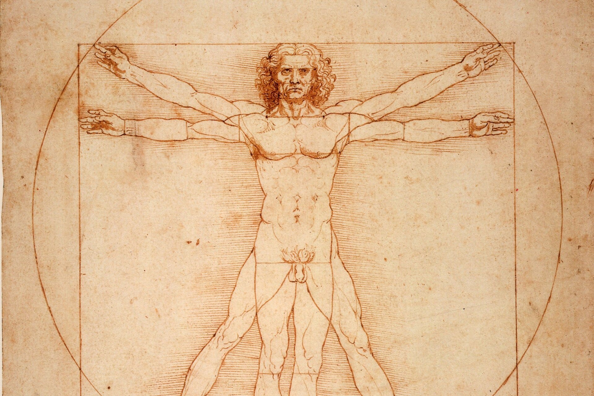 Descoperire revoluționară în cercetarea operelor de artă: ADN-ul din desene vechi de 500 de ani, o punte între istorie, știință și criminalistică O idee aproape improbabilă devine, încet, realitate în cercetarea modernă a patrimoniului cultural: recuperarea de fragmente de ADN din desene și documente vechi, unele create acum peste jumătate de mileniu