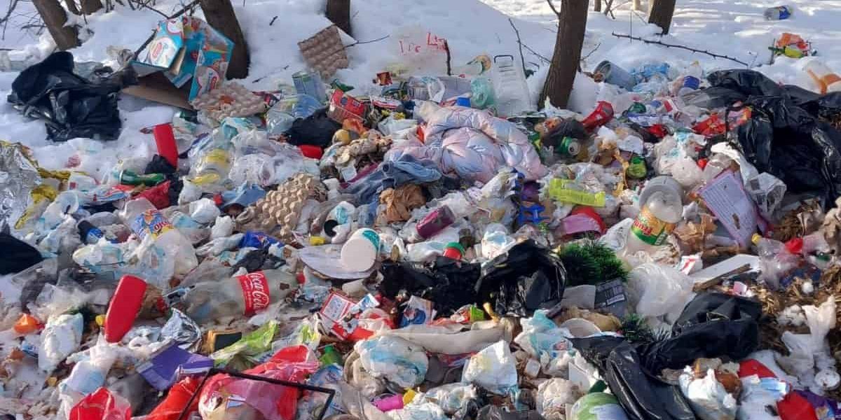 deseuri-spring-6.jpg - PresaObiectiva