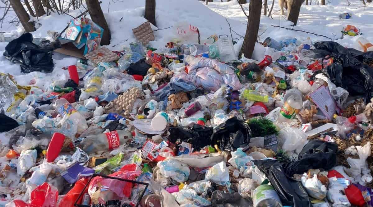 Un incident halucinant a scos la iveală problemele persistente legate de gestionarea deșeurilor și respectarea regulilor în zonele rurale ale județului Alba