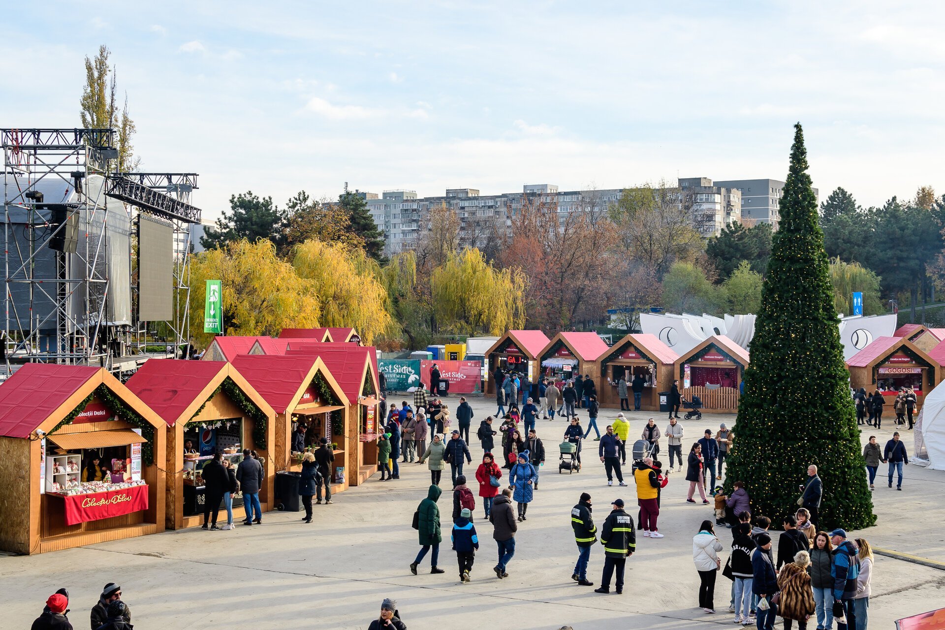 Iarna, un anotimp în declin: fenomenele meteo dispar rapid