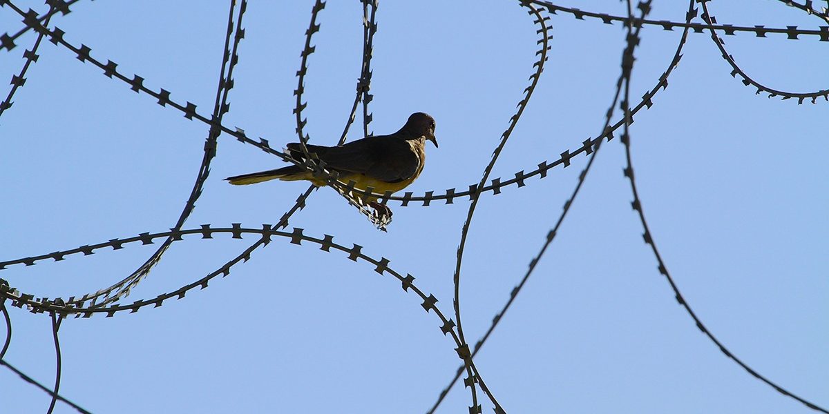 dreamstime_m_64982902.jpg - PresaObiectiva