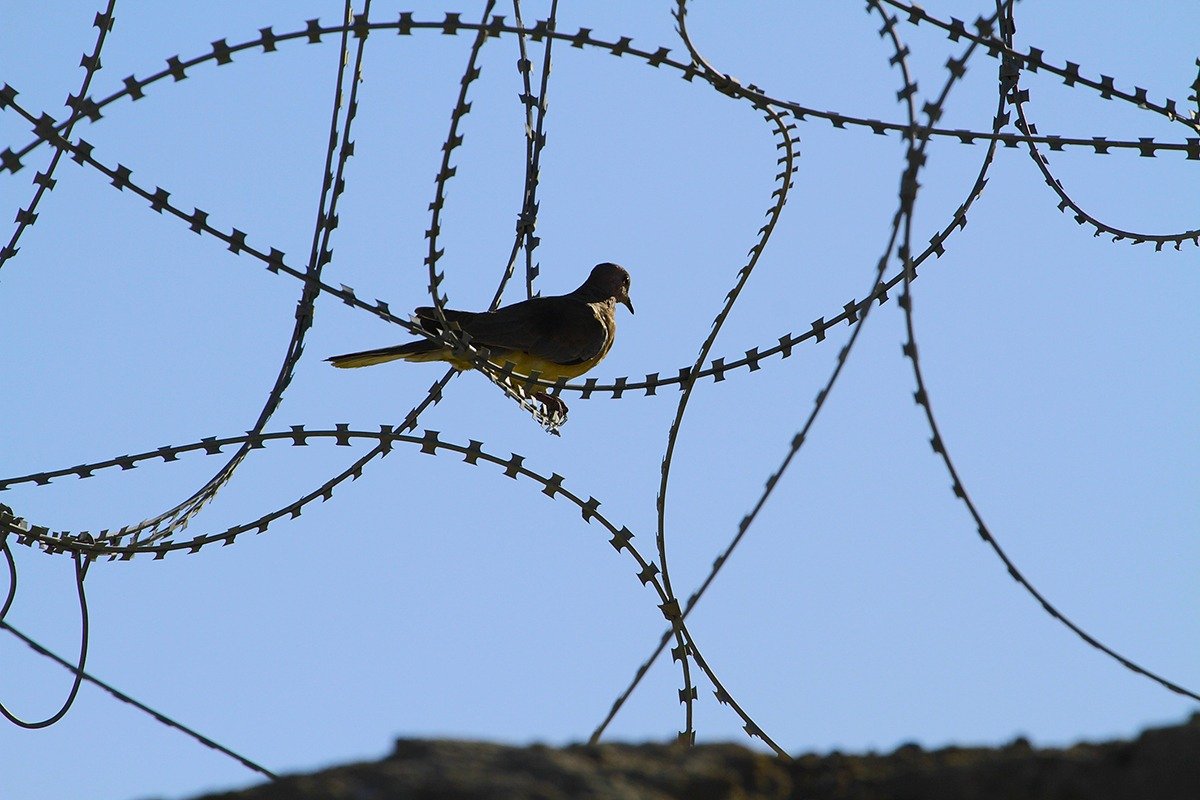 Zeci de familii de imigranți protestează în Texas după arestarea unui copil de numai cinci ani Un protest spontan a avut loc sâmbătă în apropierea unui centru de detenție pentru imigranți din Texas, acuzat de autorități pentru gesturi de frustrare și durere în rândul unor familii ale căror membri sunt reținuți în condiții stricte