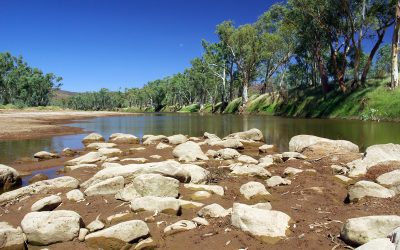 dreamstime_s_10089242.jpg - PresaObiectiva