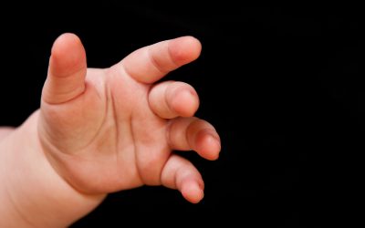 dreamstime_s_13631295.jpg - PresaObiectiva