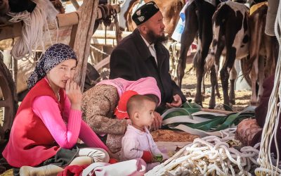 dreamstime_s_68065742.jpg - PresaObiectiva