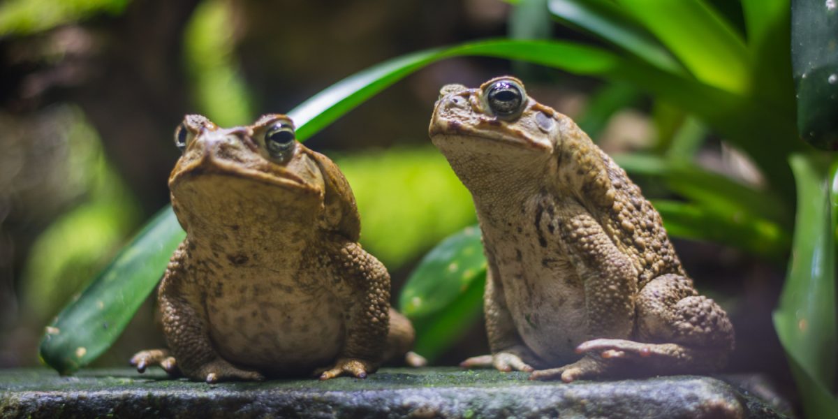 dreamstime_xl_123690325.jpg - PresaObiectiva