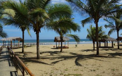 ecuador-g20798e53f_1280.jpg - PresaObiectiva