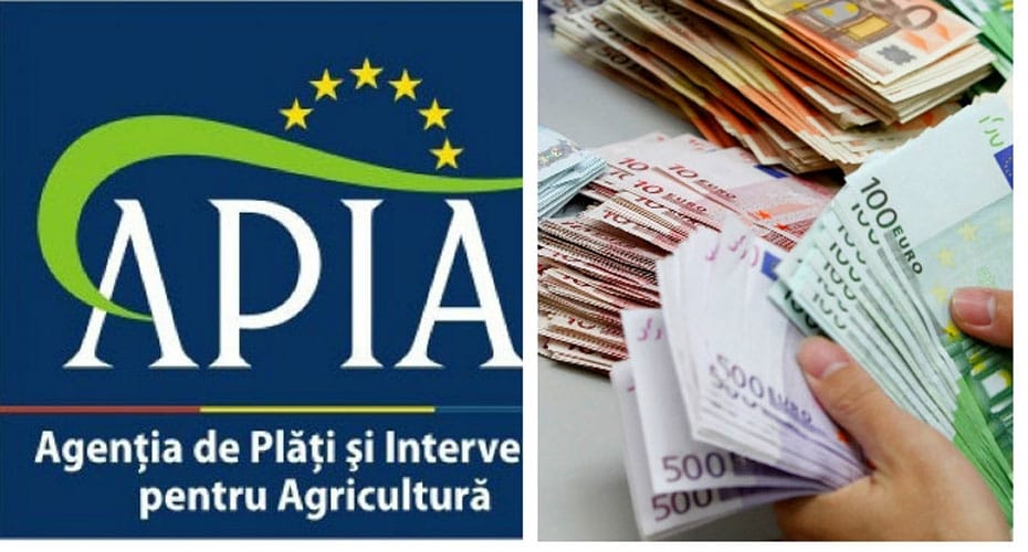 foto-bun-apia_o-1.jpg - PresaObiectiva