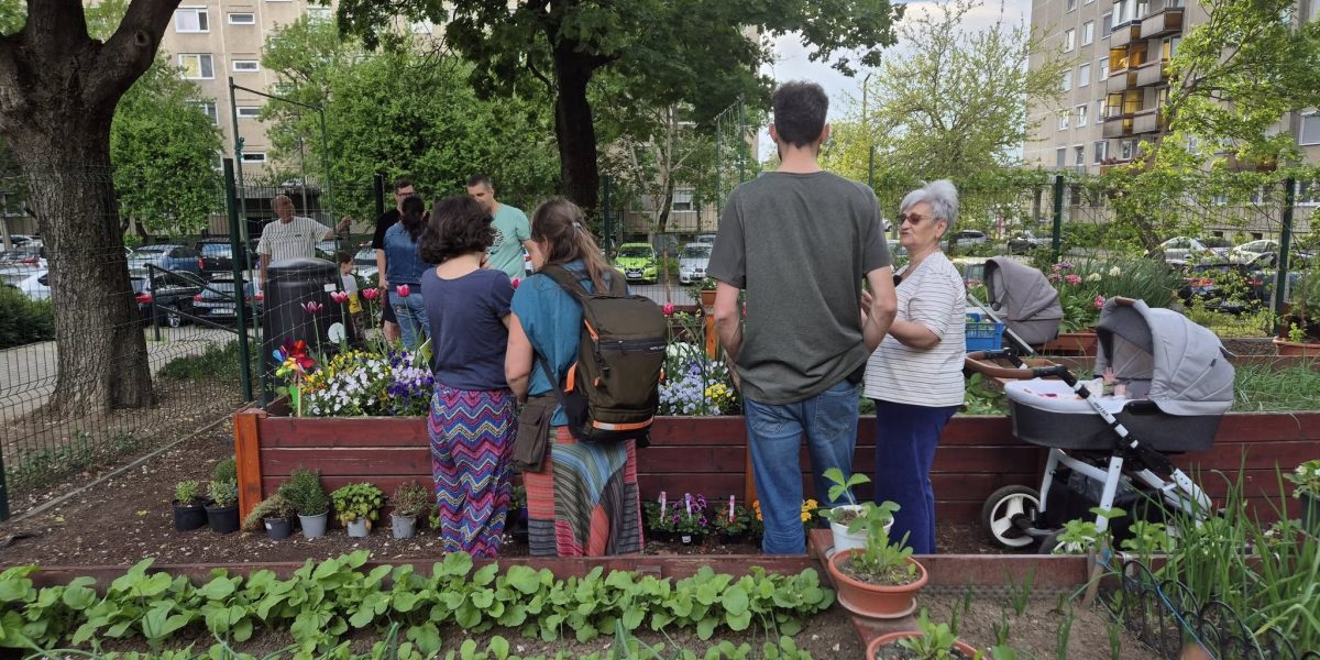 gradinile-comunitare1-debrecen.jpg - PresaObiectiva