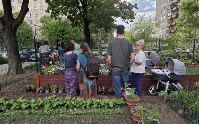 gradinile-comunitare1-debrecen.jpg - PresaObiectiva