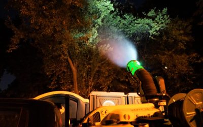 hartaliveantintari.jpg - PresaObiectiva