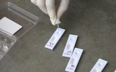 img-1-1.jpg - PresaObiectiva