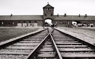 instagram-zdjecia-auschwitz-birkenau-1180x541-1-1000x485.jpg - PresaObiectiva