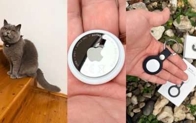 intro-2-scaled.jpg - PresaObiectiva