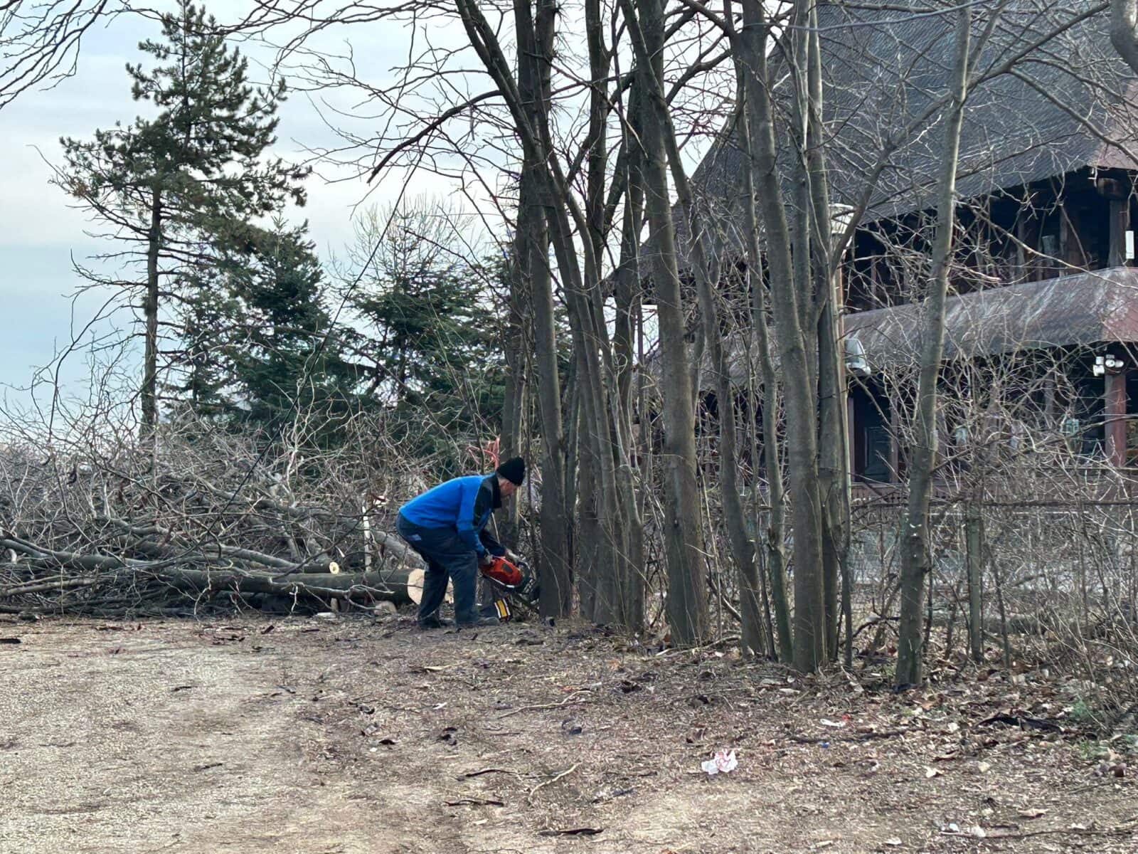 Terenul din Parcul IOR-Titan, în centrul unui proces judiciar și al unor distrugeri masive Se intensifică disputa jur în jurul terenului de 12,2 hectare din Parcul IOR-Titan, din București, care a devenit scena unui adevărat război pentru pădure
