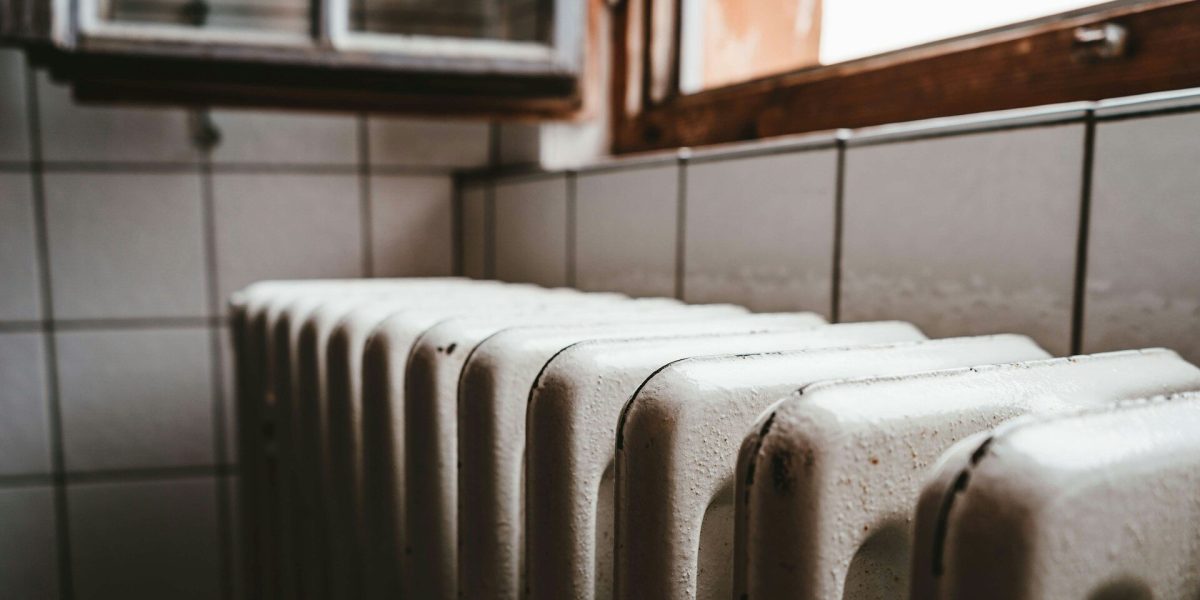 julian-hochgesang-ihx1LdtnGXw-unsplash-e1769096986622.jpg - PresaObiectiva