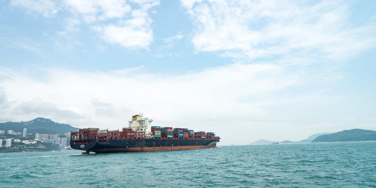 kinsey-cB8YiJt_0Y0-unsplash-e1639389142244.jpg - PresaObiectiva