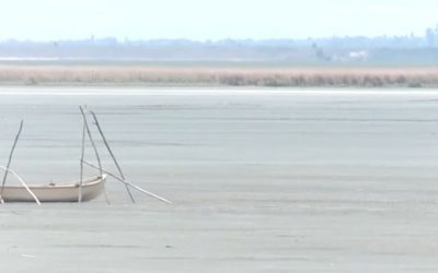 lacul-amara-buzau-secat.jpg - PresaObiectiva