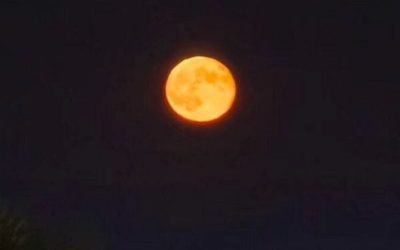 luna-4-e1767379918868.jpg - PresaObiectiva