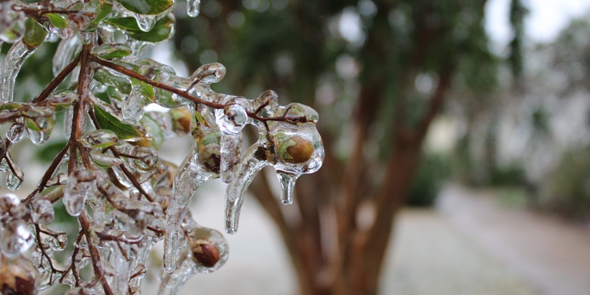 meteo-1.jpg - PresaObiectiva