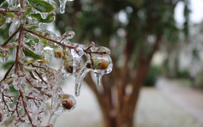 meteo-1.jpg - PresaObiectiva