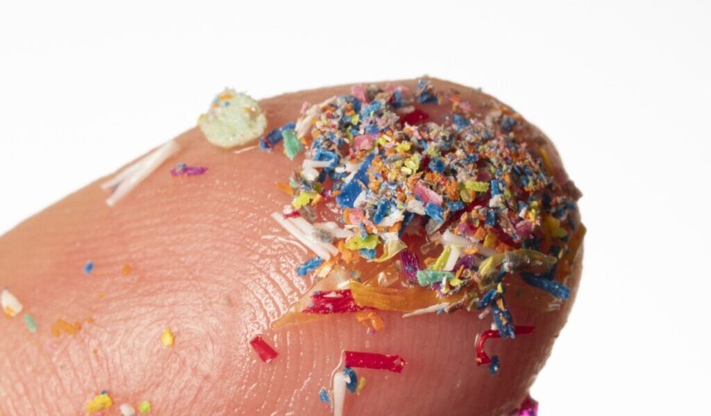 microplastice-e1724489538371.jpg - PresaObiectiva