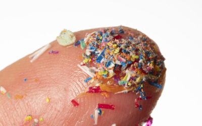 microplastice-e1724489538371.jpg - PresaObiectiva