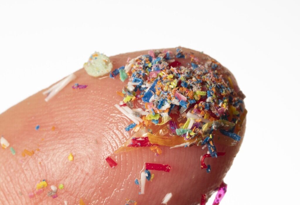 Anul 2025 a fost, fără îndoială, anul microplasticelor, un termen care a intrat în discuțiile cercetătorilor și ale specialiștilor preocupați de sănătatea planetei