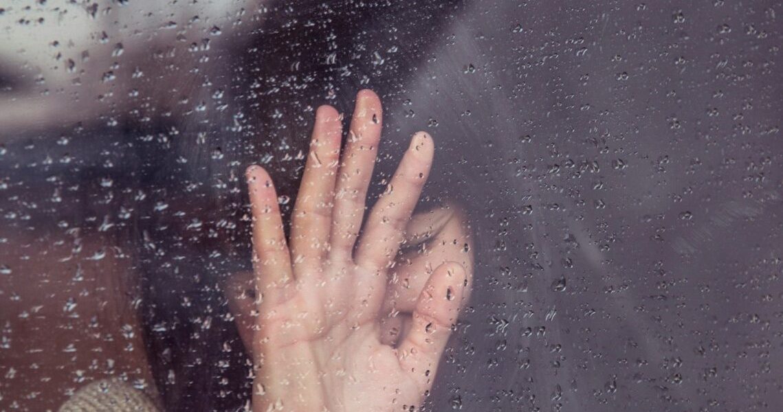 milada-vigerova-kT0tsYZ2YE0-unsplash-e1717931877253.jpg - PresaObiectiva