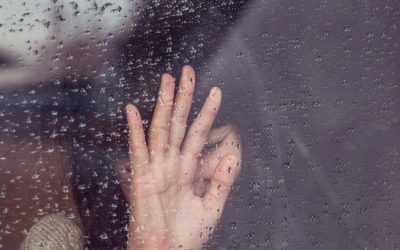 milada-vigerova-kT0tsYZ2YE0-unsplash-e1717931877253.jpg - PresaObiectiva