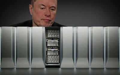 musk-dojo.jpg - PresaObiectiva