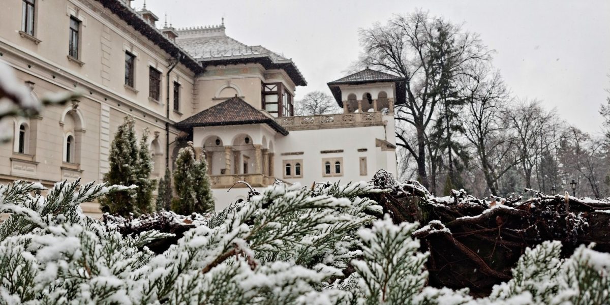 muzeul-cotroceni.jpg - PresaObiectiva