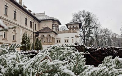 muzeul-cotroceni.jpg - PresaObiectiva