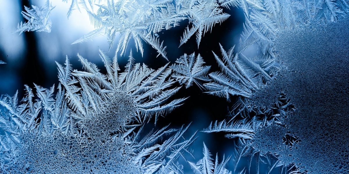 osman-rana-LSUuu25azuM-unsplash.jpg - PresaObiectiva