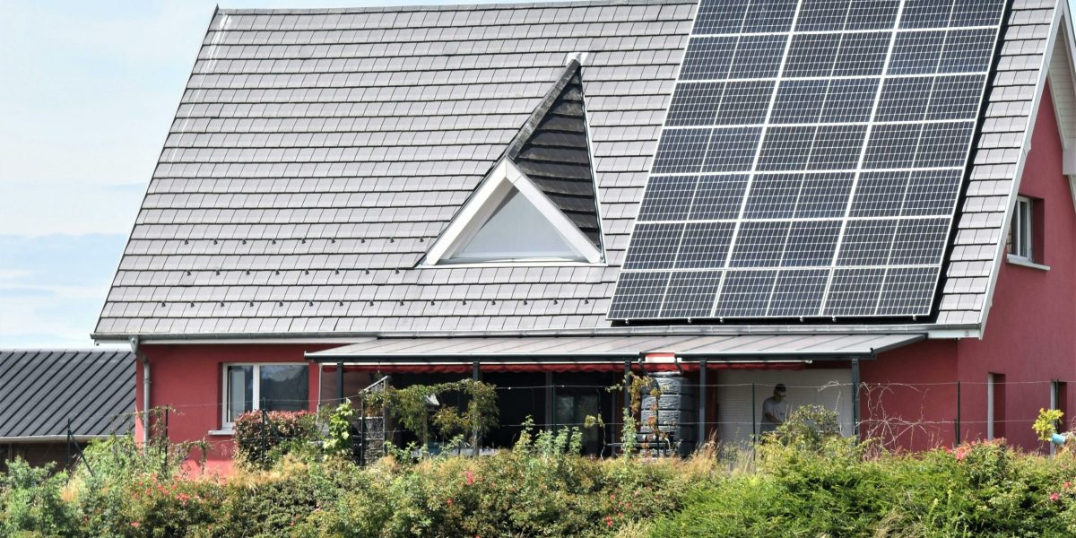 pexels-daniele-la-rosa-messina-1626789-17893477-scaled.jpg - PresaObiectiva