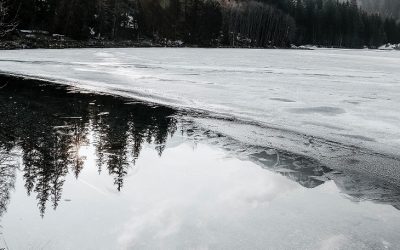 pexels-eberhard-grossgasteiger-2086267.jpg - PresaObiectiva