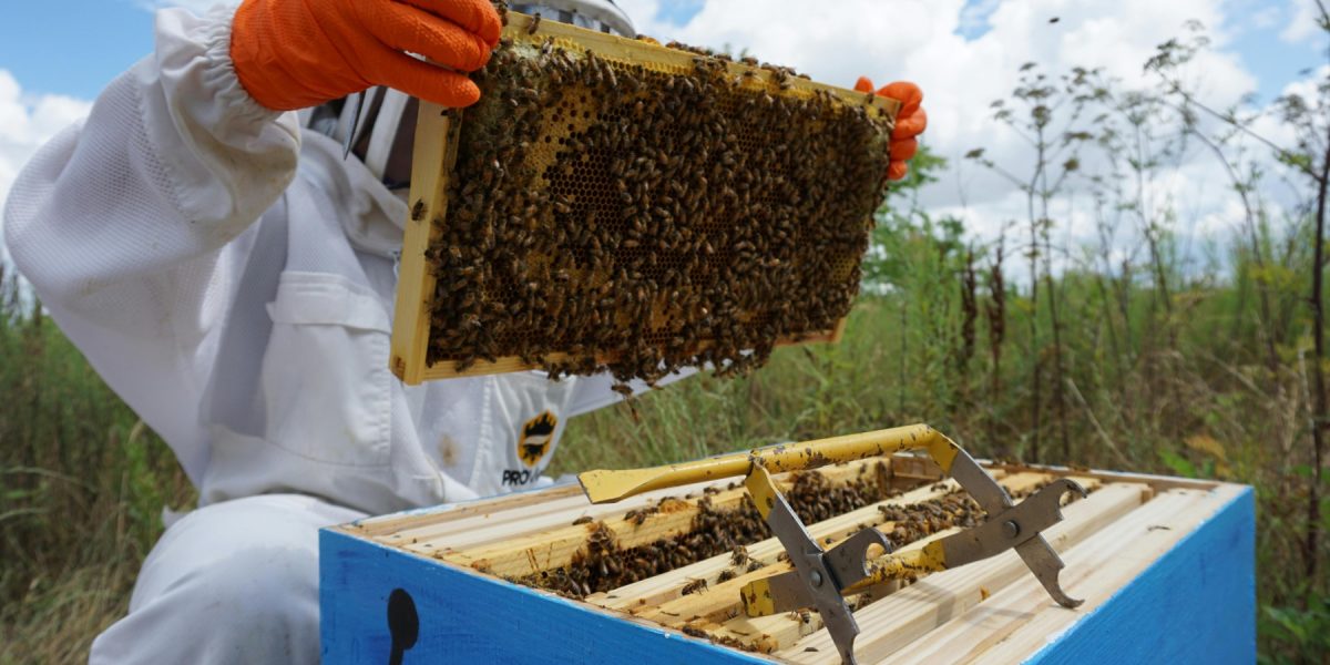 pexels-foolishmo-8227213.jpg - PresaObiectiva