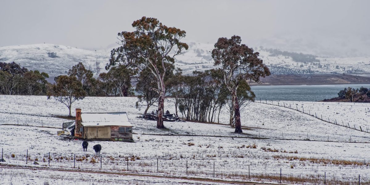 pexels-mark-thomas-2149938474-30979871.jpg - PresaObiectiva