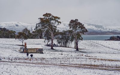 pexels-mark-thomas-2149938474-30979871.jpg - PresaObiectiva