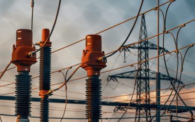 pexels-michael-pointner-134459625-28912010-scaled.jpg - PresaObiectiva