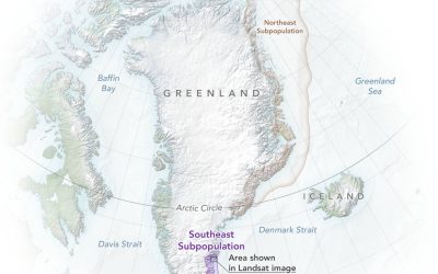 polarbears_greenland_map_2022_lrg.jpg - PresaObiectiva