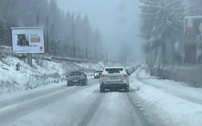 poza-art.jpeg - PresaObiectiva